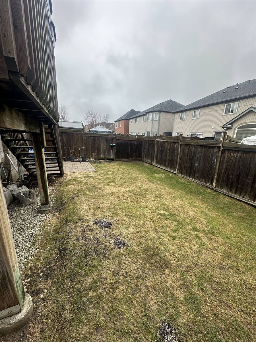 Patchy backyard lawn before the build