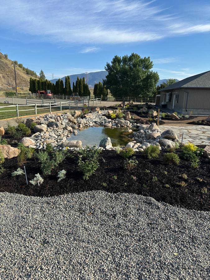 Custom pond and landscape design