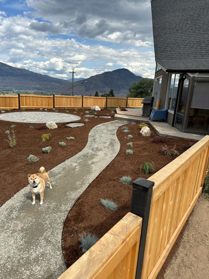 Full backyard design and build with pathway, fence and planting
